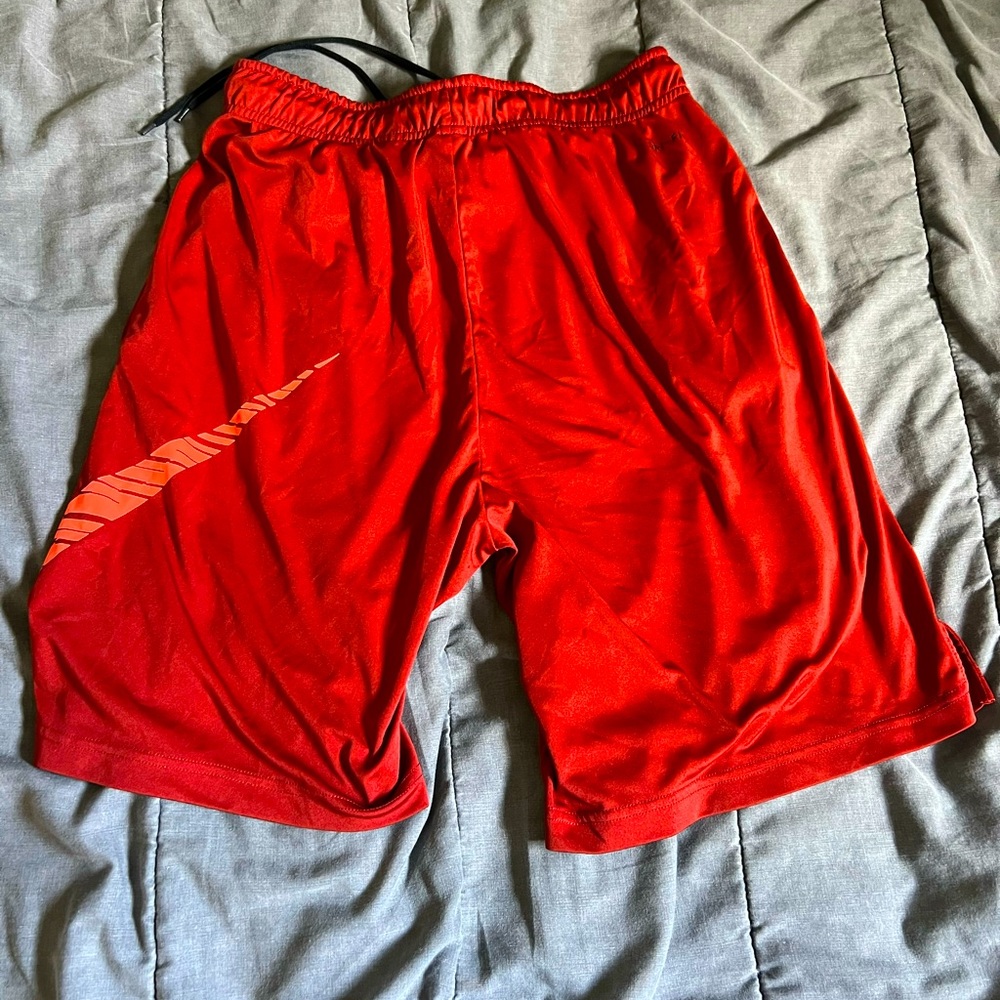 Mens Nike Dry Fit shorts